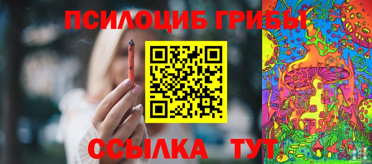 Кимры  Галлюциногенные грибы прущие грибы  Вход с VPN 
