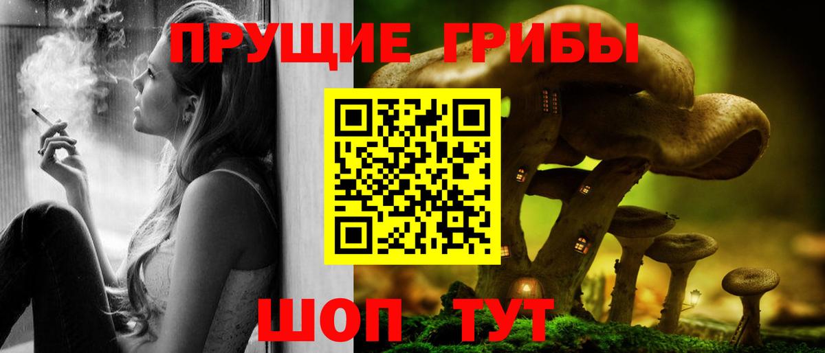 Псилоцибиновые грибы мицелий Кимры