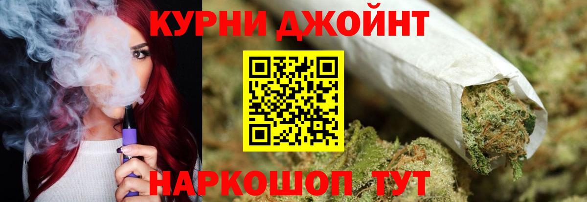 Кимры  Бошки Шишки план  Вход с VPN  Конопля конопля  Канабис Bruce Banner  МАРИХУАНА White Widow 
